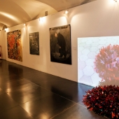 foto latitudini 2013