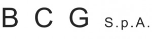 BCG-Logo1-300x78