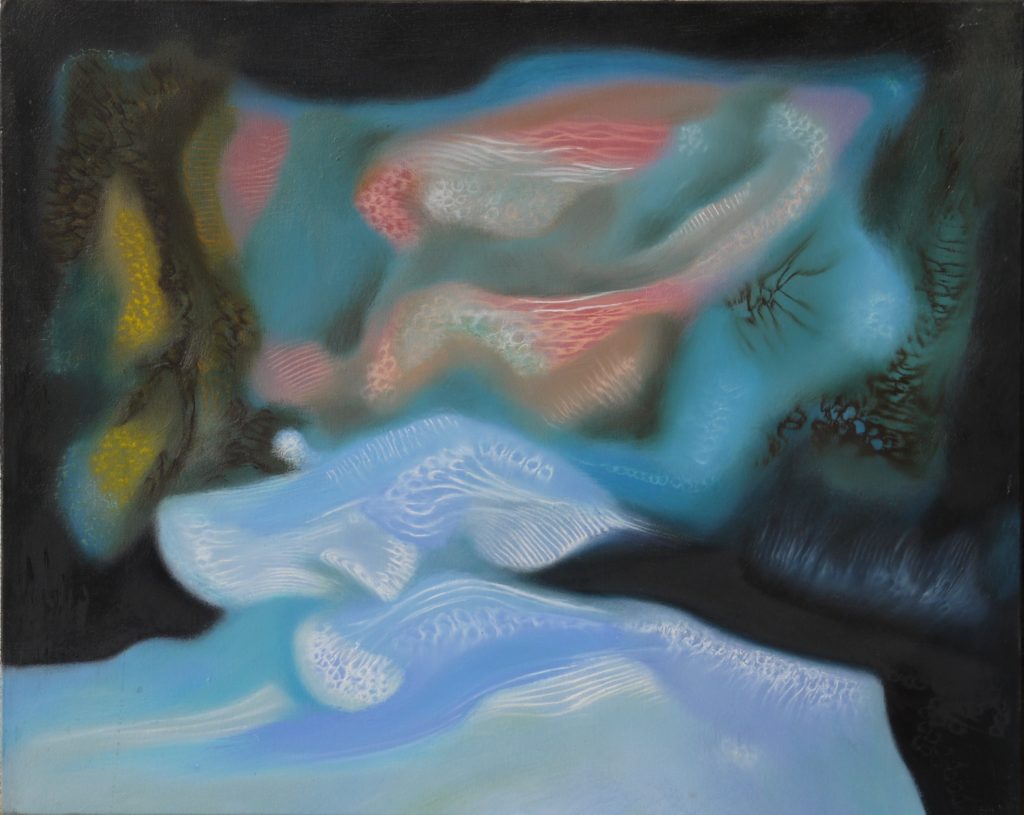 NESE cm. 40 x 50 2016